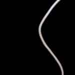 Moving Wicked Ball for Pup with Rope photo review