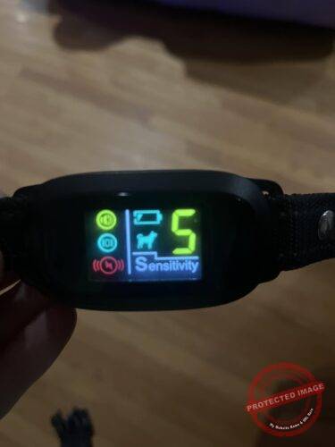  Anti-Bark Dog Collar photo review