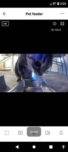 Smart Automatic Pet Feeder with Timed Dispensing photo review