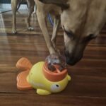 Pet Puzzle Feeder photo review