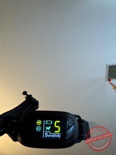  Anti-Bark Dog Collar photo review