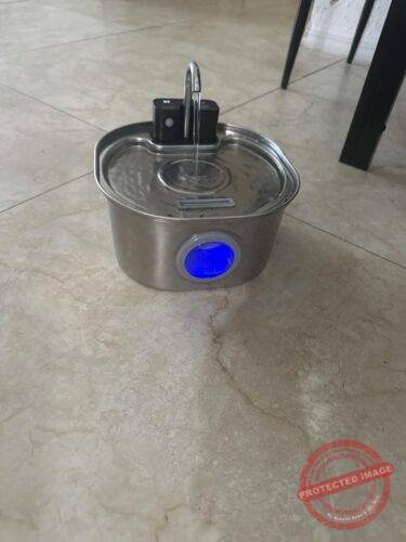 Pet Water Fountain Stainless Steel photo review