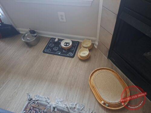 Pet Water Fountain Stainless Steel photo review