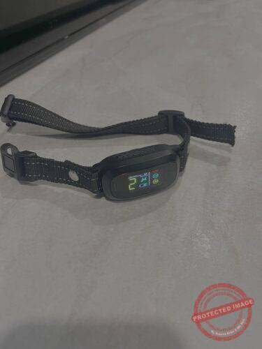  Anti-Bark Dog Collar photo review