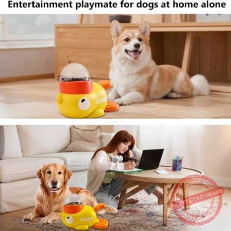 71-9Rp3mcWL._AC_SL1500_ 71-9Rp3mcWL._AC_SL1500_