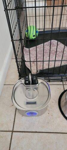 Pet Water Fountain Stainless Steel photo review
