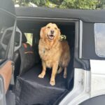 Hard Bottom Car Seat Cover for Dogs photo review
