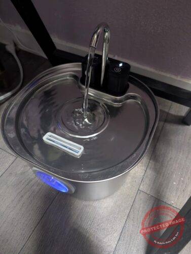 Pet Water Fountain Stainless Steel photo review