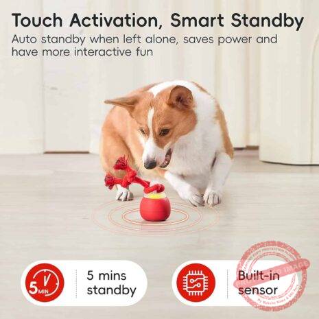 71JhoE0y09L._AC_SL1500_ 71JhoE0y09L._AC_SL1500_