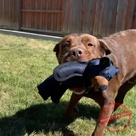 71kArkinQPL._AC_SY879 71kArkinQPL._AC_SY879