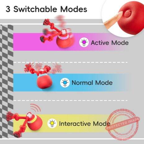 71p3v6Lw2sL._AC_SL1500_ 71p3v6Lw2sL._AC_SL1500_