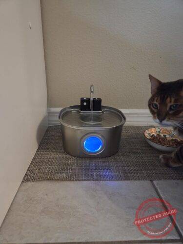 Pet Water Fountain Stainless Steel photo review