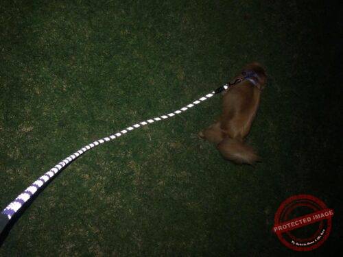Click to view full screen Climbing Rope Dog Leash photo review