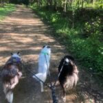 Climbing Rope Dog Leash photo review