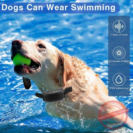 81TLaEolwyL._AC_SL1500_ 81TLaEolwyL._AC_SL1500_