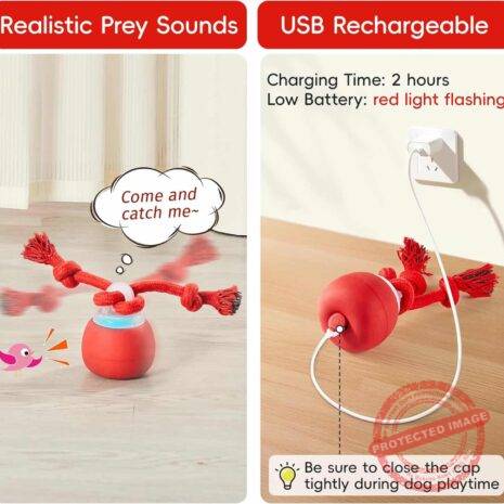 81UYGANT-UL._AC_SL1500_ 81UYGANT-UL._AC_SL1500_