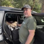 Hard Bottom Car Seat Cover for Dogs photo review