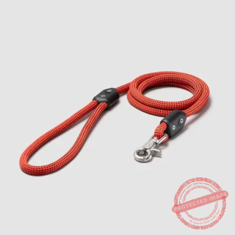 atlas-pet-compmany-lifetime-leash-climbing-rope-lifetime-warranty-dog-leash-13 atlas-pet-compmany-lifetime-leash-climbing-rope-lifetime-warranty-dog-leash-13