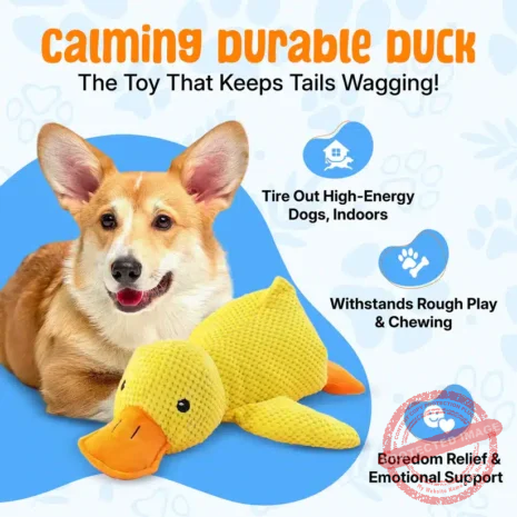 CalmingDurableDuck-Listing_Img-02_c2b71443-7a7c-4768-81e4-36873d1693a4 CalmingDurableDuck-Listing_Img-02_c2b71443-7a7c-4768-81e4-36873d1693a4