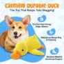 CalmingDurableDuck-Listing_Img-02_c2b71443-7a7c-4768-81e4-36873d1693a4