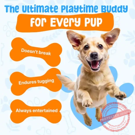 CalmingDurableDuck-Listing_Img-03 CalmingDurableDuck-Listing_Img-03