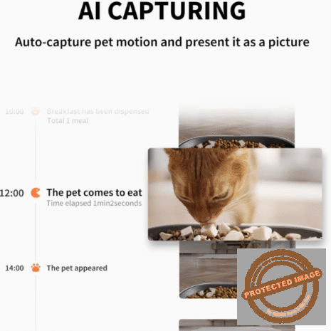 Red and White (1) Red and White (1)