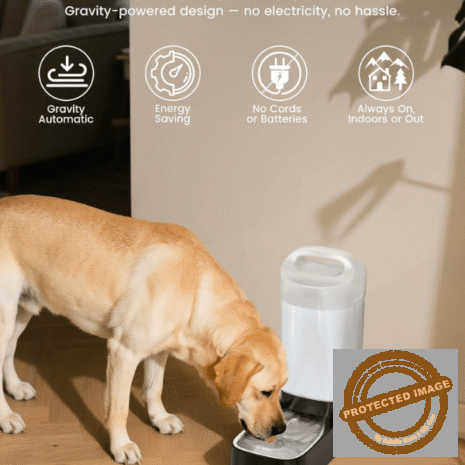 Red and White (10) Red and White (10)