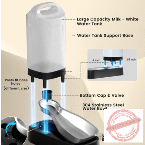 Red and White (12) Red and White (12)