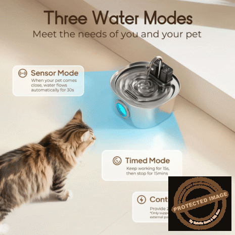 Red and White (13) Red and White (13)