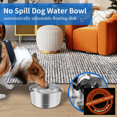 Red and White (28) Red and White (28)