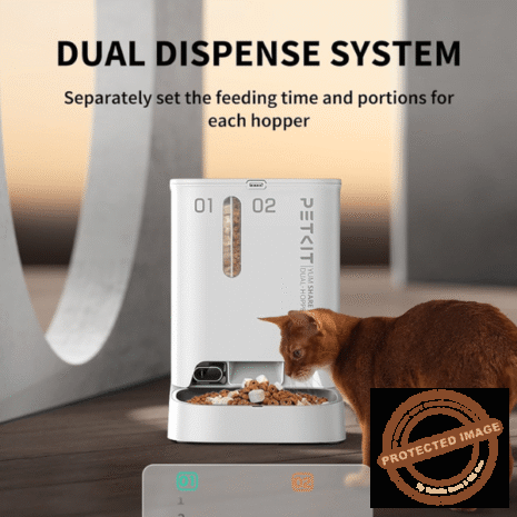 Red and White (3) Red and White (3)