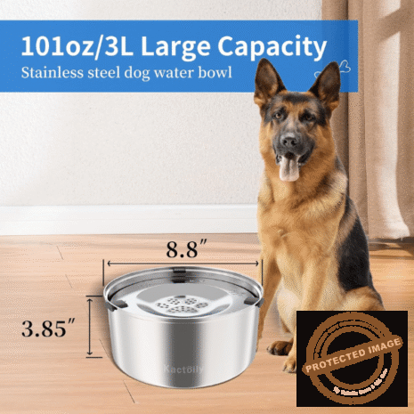 Red and White (31) Red and White (31)