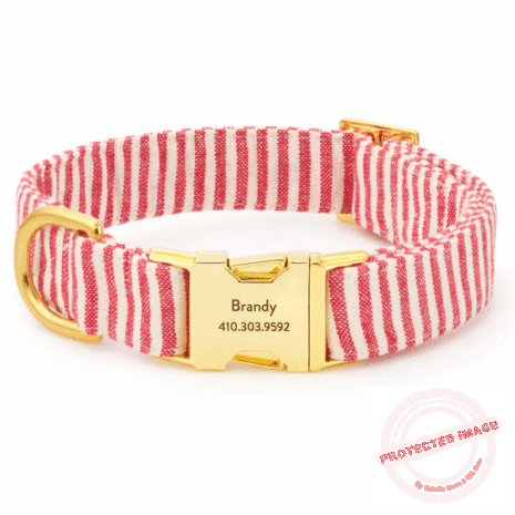 Red and White (34) Red and White (34)