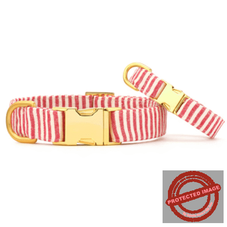 Red and White (35) Red and White (35)