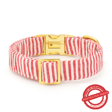 Red and White (36) Red and White (36)