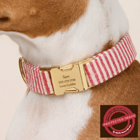 Red and White (37) Red and White (37)