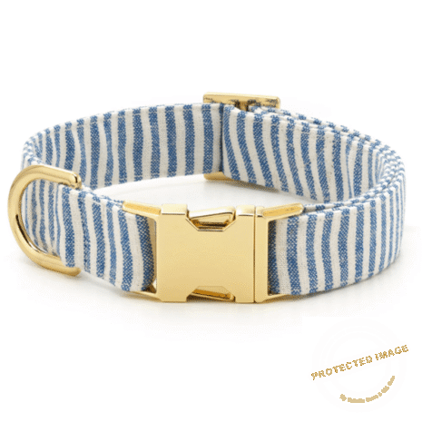 Red and White (38) Red and White (38)