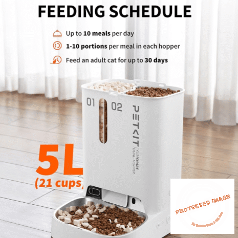 Red and White (4) Red and White (4)