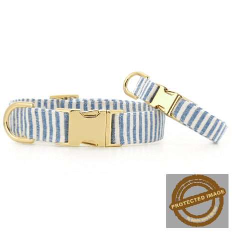 Red and White (40) Red and White (40)