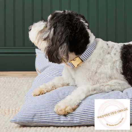 Red and White (41) Red and White (41)