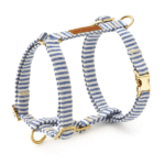 Blue Stripe Dog Harness