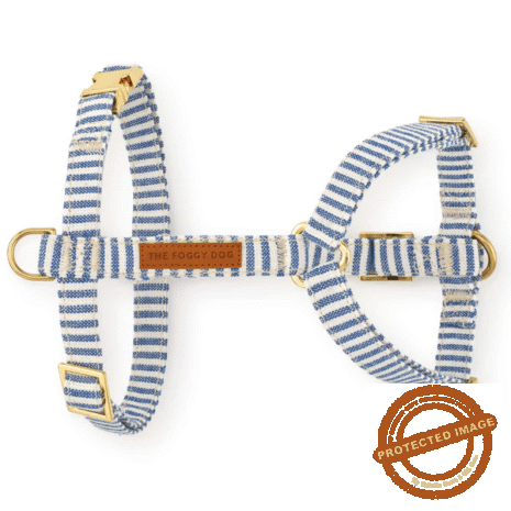 Red and White (49) Red and White (49)