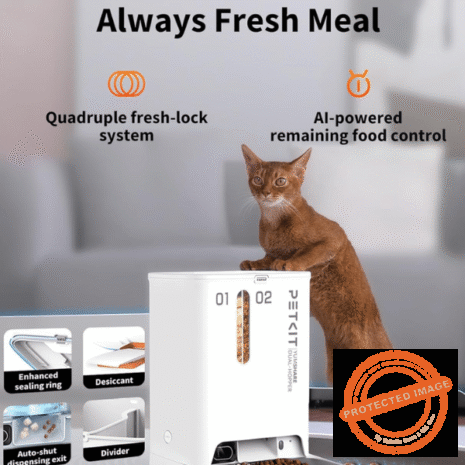 Red and White (5) Red and White (5)