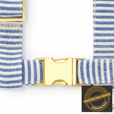 Red and White (51) Red and White (51)