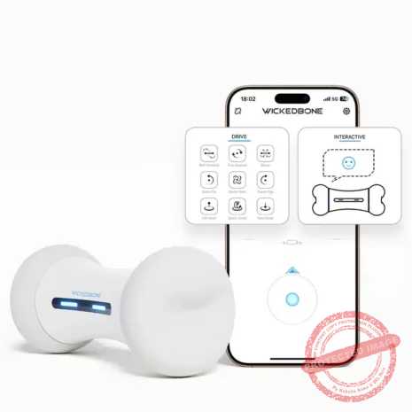 Section1-APP Section1-APP